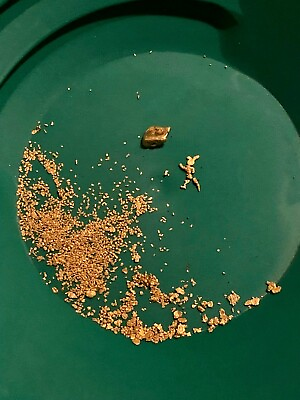 #ad Unsearched Gold Paydirt Rich Gold Panning Concentrate Pay Dirt High Quality $39.99