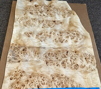#ad Mappa Burl wood veneer 20quot; x 27quot; raw with no backing 1 42quot; thickness A grade $95.00
