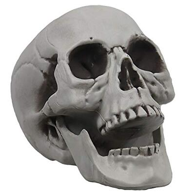 #ad Life Size Skeleton Skull for Halloween Decor Graveyard Outdoor White $22.12