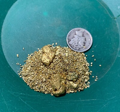 Gold Paydirt 8 lbs Unsearched Guaranteed Gold Panning Pay Dirt Gold Nuggets Bag $42.99