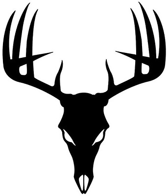 #ad Deer Skull Car Window Vinyl Decal Hunting Truck Graphic Sports Outdoors Sticker $10.00