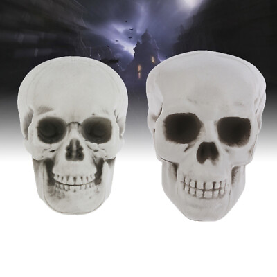 #ad 2 Pcs Halloween Skull Accessories Skeletons Art Sculpture Exquisite Design $7.31