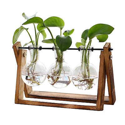 #ad XXXFLOWER Plant Terrarium with Wooden Stand Air Planter Bulb Glass Vase Meta... $20.51