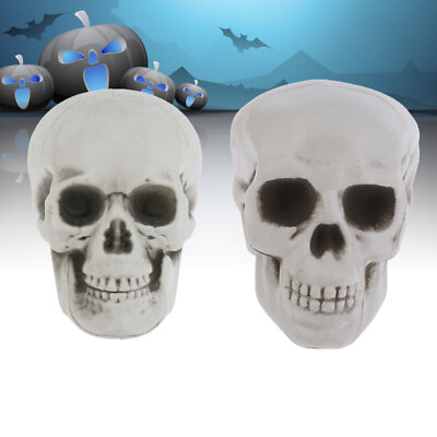 #ad 2 Pcs M Halloween Skull Accessories Party Steampunk Skeleton Ornament $8.75