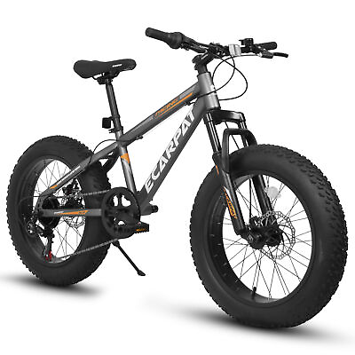 #ad 20quot; Fat Tire Bike 7 Speed MTB Bike Dual Disc Brake Urban Commuter City Bicycle $306.42