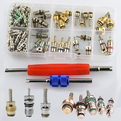#ad 102pcs Car R12 amp; R134a A C Air Conditioner Schrader Valve Core Remover Tool Kit $11.49