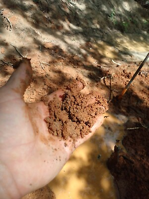 #ad 20 Pounds Garden Grade Ultisol Red clay dirt for garden water plants pets etc $14.99