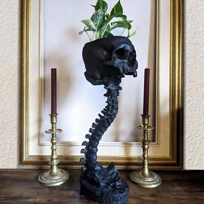#ad Resin Skull Planter amp; Spine Stand Set Polyresin Skulls Pot Halloween5427 $23.99