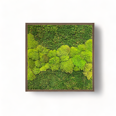 #ad Moss Wall Art Frame 24x24quot; WALNUT BROWN Wood Art Decor with Preserved Moss $247.77