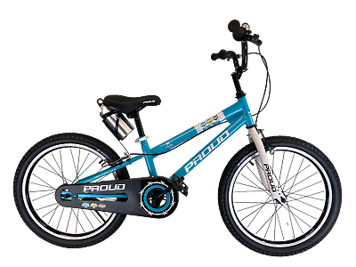 PROUD Kids Bike for Boy Girls Bicycle without Training Wheels 20 Inch 6 10 years $99.00