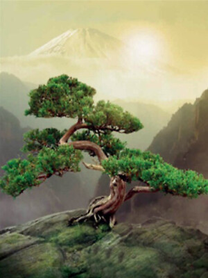 #ad 5D Diamond Painting Tree on a Mountain Kit $14.99