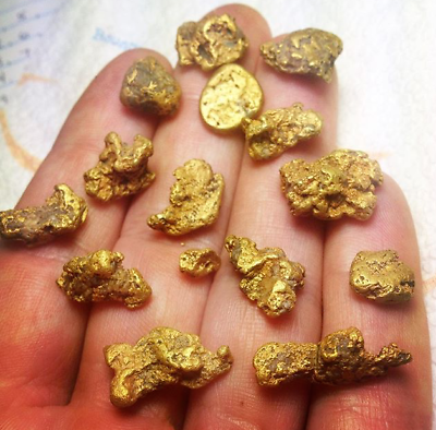 Gold Panning Paydirt with Guaranteed Added Gold 100% Unsearched Arizona Pay Dirt $40.00