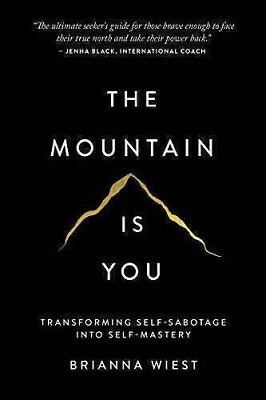 THE MOUNTAIN IS YOU BY BRIANNA WIEST ENGLISH PAPERBACK BOOK $9.93