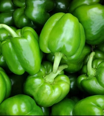 #ad green bell pepper seeds 50ct $1.25