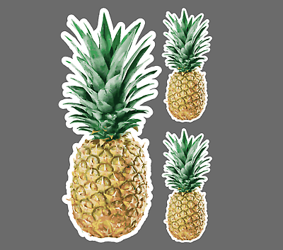 Pineapple Pineapples Sticker Decal 3 for 1 $4.99