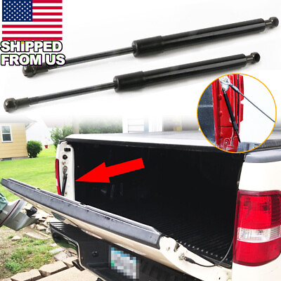 #ad For 2009 2023 Ford F 150 Tailgate Assist Shock Hydraulic Rod Lift Support 2Pcs $36.99
