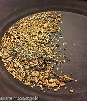 10 Ounces of Guaranteed Gold Panning Paydirt Pay dirt Concentrates Nugget $19.99