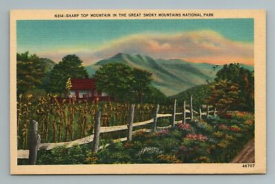 #ad Sharp Top Mountain In The Great Smoky Mountains National Park NC Postcard $3.62