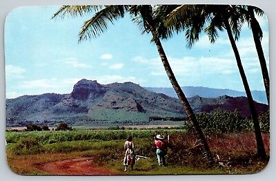 #ad Hawaii Sleeping Giant Mountain Kapaa Kauai Postcard $3.45