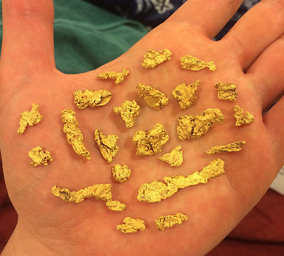 12 oz GOLD PAYDIRT unsearched and added gold panning alaska concentrates $19.99