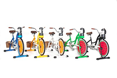 #ad Commercial indoor Blender Bike Custom Exercise Spinning Fitness Stationary bike $825.00