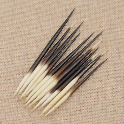 #ad 10Pcs Porcupine Quills DIY Fish Float Hair Stick Hair Craft Fishing Bobber $7.01