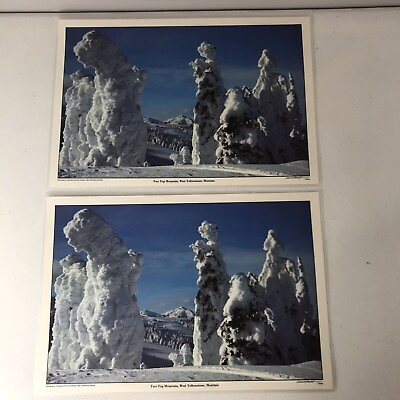 #ad Set Of 2 America The Beautiful Placemats: Two Top Mountain West Yellowstone MT $12.00
