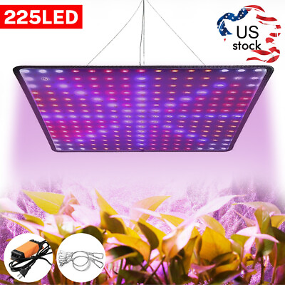 8500W LED Grow Light Panel Full Spectrum Lamp for Indoor Plant Veg Flower $24.59