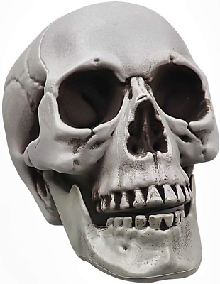#ad POWER TOY Skull for Halloween Decoration Human Skull Graveyard Outdoor $18.45