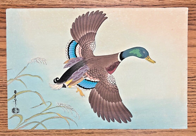 #ad #ad Vintage Japanese Woodblock Print Mallard Duck by Asada Benji Ca. 1950 $125.00