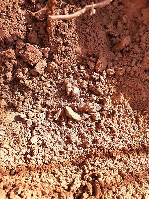#ad 2 gallons of Clay dirt for reptile pet enclosure $25.00