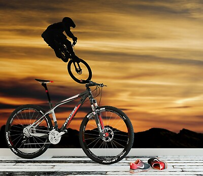 #ad 3D Sunset Bicycle ZHU1471 Wallpaper Wall Mural Removable Self adhesive Zoe $249.99