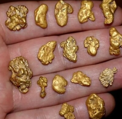 #ad #ad Rich Gold Nugget Pay Dirt Approximately 1 lbs OF UNSEARCHED PAYDIRT BUY 2 1 FREE $55.69