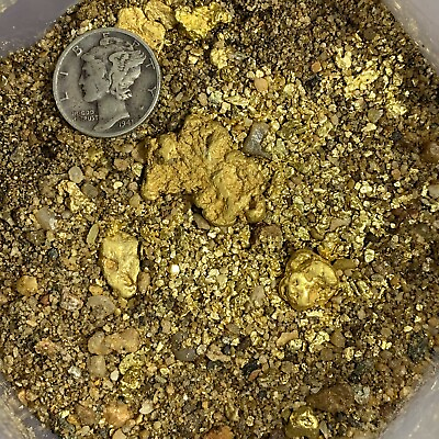 #ad Approximately 20 35lbs US Gold Nugget Pay Dirt Free Shipping Paydirt $119.99