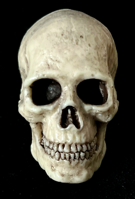#ad 1 6 Scale Custom Highly Realistic SKULL for 12quot; Action Figure NEW $9.95