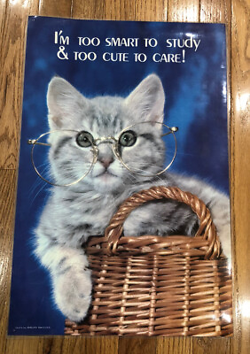 VTG Baby Kitten Glasses I#x27;m too smart to study too cute to care Laminated Poster $13.99