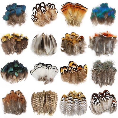 Diy Small Plume Pheasant Feathers Color for Craft Decoration Wedding Carnival $27.99