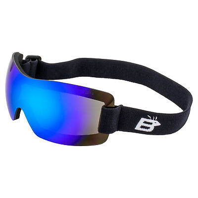 #ad #ad Birdz Wren Sports Motorcycle Padded Safety Goggles w One Piece Blue Mirror Lens $14.99