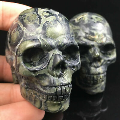 #ad 2quot; Natural Kambaba Jasper Quartz Crystal Skull Carved Skull Reiki Healing 1pc $14.45