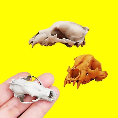 #ad Grizzly Bear skull 1:12 scale miniature bear skull for diorama replica horror $19.00