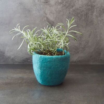 #ad Turquoise Felt Succulent Planter $35.00