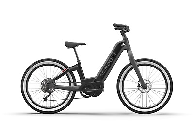 #ad #ad SONDORS CRUISER E BIKE ELECTRIC BICYCLE STORE DEMO PLATINUM GREY AND BLACK $1499.00